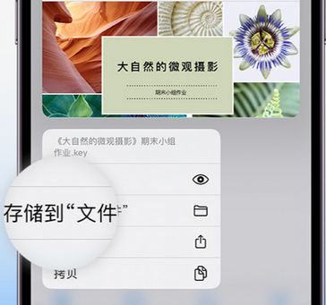 介休apple维修中心分享iPhone文件应用中存储和找到下载文件