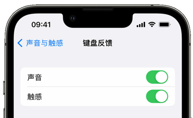 介休苹果手机维修分享iPhone 14触感键盘使用方法 