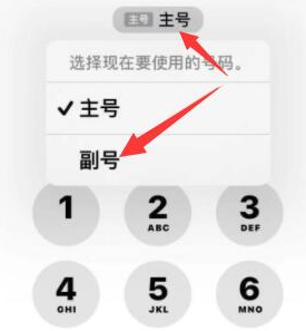 介休苹果14维修店分享iPhone 14 Pro Max使用副卡打电话的方法 