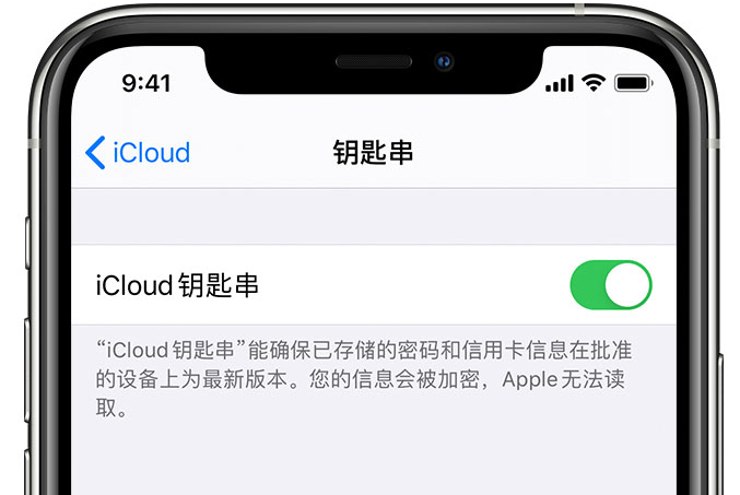 介休苹果手机维修分享在 iPhone 上开启 iCloud 钥匙串之后会储存哪些信息 